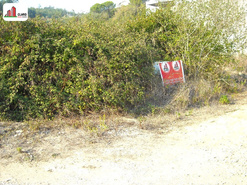 Terreno R�stico - Assafarge, Coimbra, Coimbra