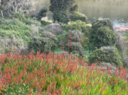 Terreno R�stico - Torres do Mondego, Coimbra, Coimbra - Miniatura: 1/9