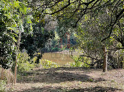 Terreno R�stico - Torres do Mondego, Coimbra, Coimbra - Miniatura: 5/9