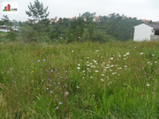 Terreno R�stico - Assafarge, Coimbra, Coimbra - Miniatura: 2/3
