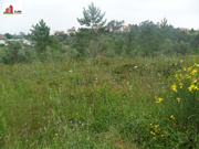 Terreno R�stico - Assafarge, Coimbra, Coimbra - Miniatura: 3/3