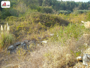 Terreno R�stico - Assafarge, Coimbra, Coimbra - Miniatura: 2/2