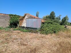 Terreno Rstico T0 - So Joo do Campo, Coimbra, Coimbra