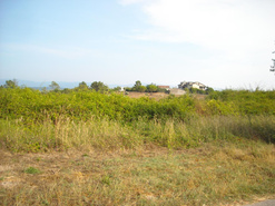 Terreno R�stico - Almalagu�s, Coimbra, Coimbra