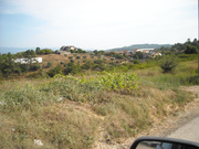Terreno R�stico - Almalagu�s, Coimbra, Coimbra - Miniatura: 2/2