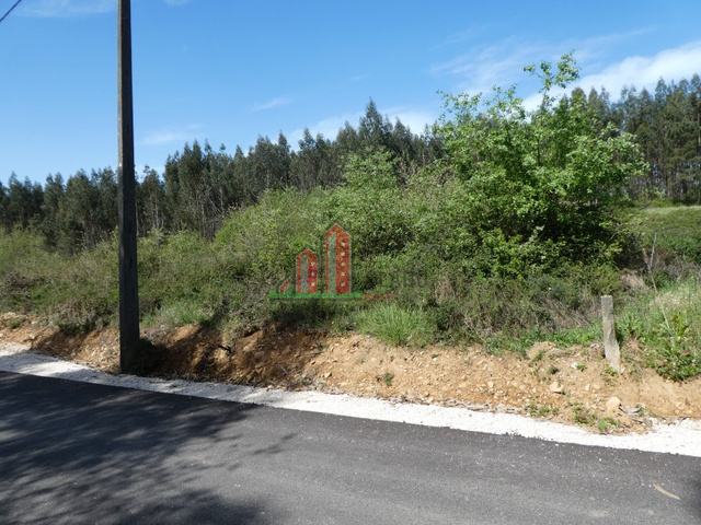 Terreno R�stico - Cumeeira, Penela, Coimbra - Imagem grande