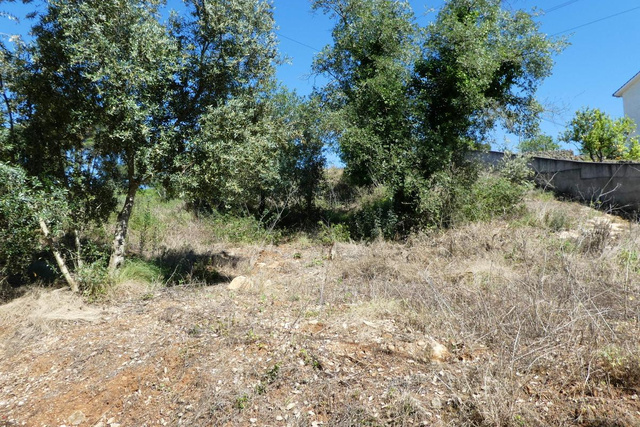 Terreno R�stico - Assafarge, Coimbra, Coimbra - Imagem grande