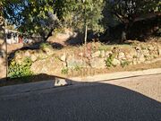 Terreno R�stico - Vila Seca, Condeixa-a-Nova, Coimbra - Miniatura: 7/9