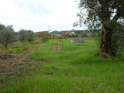 Terreno R�stico - Soure, Soure, Coimbra