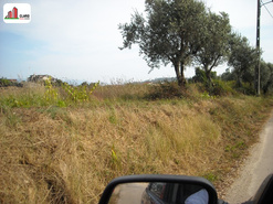 Terreno R�stico - Almalagu�s, Coimbra, Coimbra