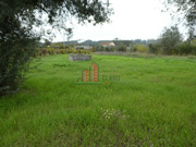 Terreno R�stico - Soure, Soure, Coimbra - Miniatura: 1/4