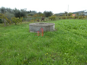 Terreno R�stico - Soure, Soure, Coimbra - Miniatura: 2/4