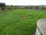 Terreno R�stico - Soure, Soure, Coimbra - Miniatura: 3/4