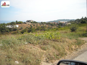 Terreno R�stico - Almalagu�s, Coimbra, Coimbra - Miniatura: 1/2