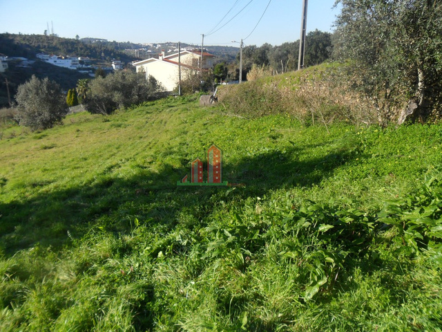 Terreno R�stico T5 - Santa Clara, Coimbra, Coimbra - Imagem grande