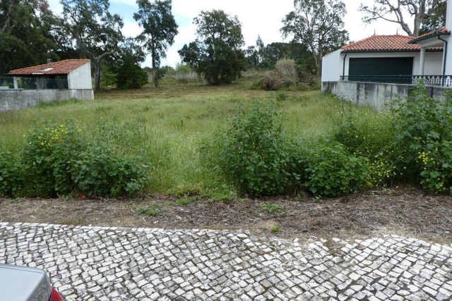 Terreno R�stico - Condeixa-a-Velha, Condeixa-a-Nova, Coimbra - Imagem grande
