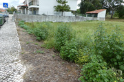 Terreno R�stico - Condeixa-a-Velha, Condeixa-a-Nova, Coimbra - Miniatura: 2/3