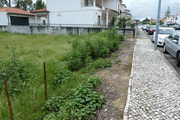 Terreno R�stico - Condeixa-a-Velha, Condeixa-a-Nova, Coimbra - Miniatura: 3/3