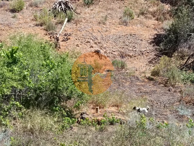 Terreno R�stico - Azinhal, Castro Marim, Faro (Algarve) - Imagem grande