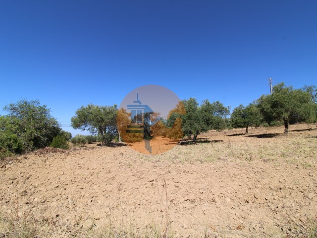 Terreno Urbano - So Brs de Alportel, So Brs de Alportel, Faro (Algarve) - Imagem grande