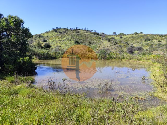 Terreno R�stico - Concei��o de Tavira, Tavira, Faro (Algarve) - Imagem grande