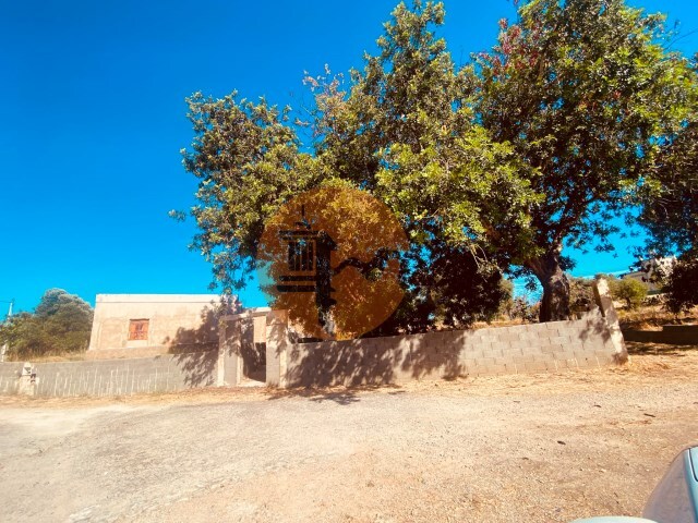 Moradia T3 - Pech�o, Olh�o, Faro (Algarve) - Imagem grande