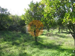 Terreno R�stico - Azinhal, Castro Marim, Faro (Algarve)