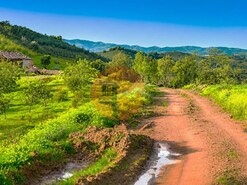 Terreno R�stico - Tavira, Tavira, Faro (Algarve)