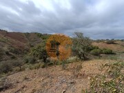 Terreno R�stico - Azinhal, Castro Marim, Faro (Algarve) - Miniatura: 3/9