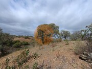 Terreno R�stico - Azinhal, Castro Marim, Faro (Algarve) - Miniatura: 4/9