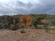 Terreno R�stico - Azinhal, Castro Marim, Faro (Algarve) - Miniatura: 8/9