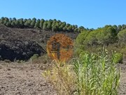 Terreno R�stico - Vaqueiros, Alcoutim, Faro (Algarve) - Miniatura: 3/9