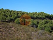 Terreno R�stico - Vaqueiros, Alcoutim, Faro (Algarve) - Miniatura: 7/9