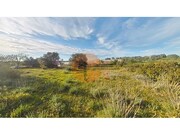 Terreno R�stico - Pech�o, Olh�o, Faro (Algarve) - Miniatura: 2/9