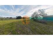 Terreno R�stico - Pech�o, Olh�o, Faro (Algarve) - Miniatura: 6/9