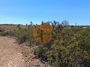 Terreno R�stico - Azinhal, Castro Marim, Faro (Algarve) - Miniatura: 3/9