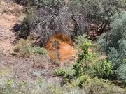 Terreno R�stico - Azinhal, Castro Marim, Faro (Algarve) - Miniatura: 5/9