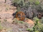 Terreno R�stico - Azinhal, Castro Marim, Faro (Algarve) - Miniatura: 8/9
