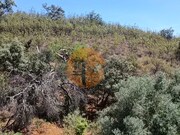 Terreno R�stico - Azinhal, Castro Marim, Faro (Algarve) - Miniatura: 9/9