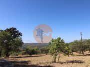 Terreno Urbano - So Brs de Alportel, So Brs de Alportel, Faro (Algarve) - Miniatura: 2/9