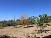 Terreno Urbano - So Brs de Alportel, So Brs de Alportel, Faro (Algarve) - Miniatura: 4/9