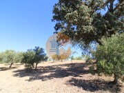 Terreno Urbano - So Brs de Alportel, So Brs de Alportel, Faro (Algarve) - Miniatura: 6/9