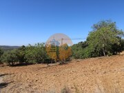 Terreno Urbano - So Brs de Alportel, So Brs de Alportel, Faro (Algarve) - Miniatura: 7/9