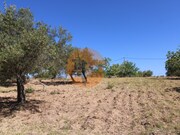 Terreno Urbano - So Brs de Alportel, So Brs de Alportel, Faro (Algarve) - Miniatura: 8/9