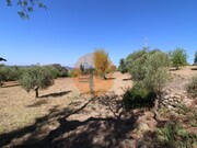 Terreno Urbano - So Brs de Alportel, So Brs de Alportel, Faro (Algarve) - Miniatura: 9/9