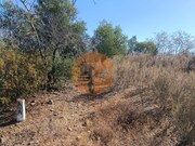 Terreno R�stico - Alcoutim, Alcoutim, Faro (Algarve) - Miniatura: 6/9