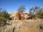 Terreno Urbano - Quelfes, Olho, Faro (Algarve) - Miniatura: 7/9