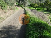 Terreno R�stico - Azinhal, Castro Marim, Faro (Algarve) - Miniatura: 4/9