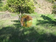 Terreno R�stico - Azinhal, Castro Marim, Faro (Algarve) - Miniatura: 7/9