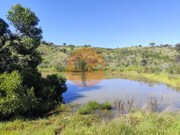 Terreno R�stico - Concei��o de Tavira, Tavira, Faro (Algarve) - Miniatura: 1/9
